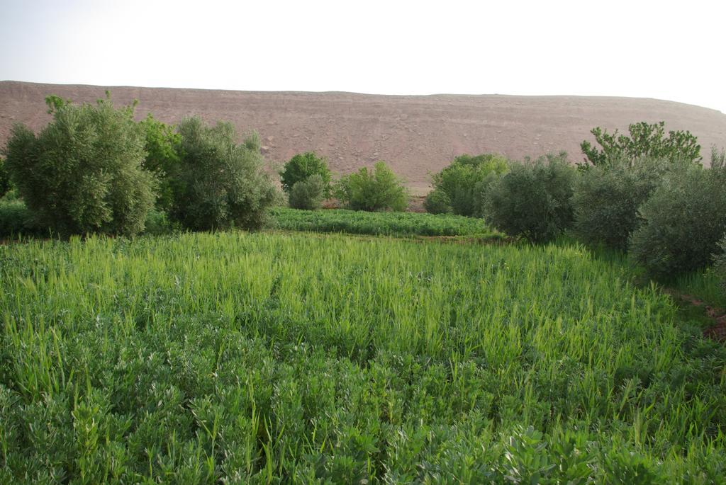 Maison D'Hotes Nouflla Ait Benhaddou Buitenkant foto